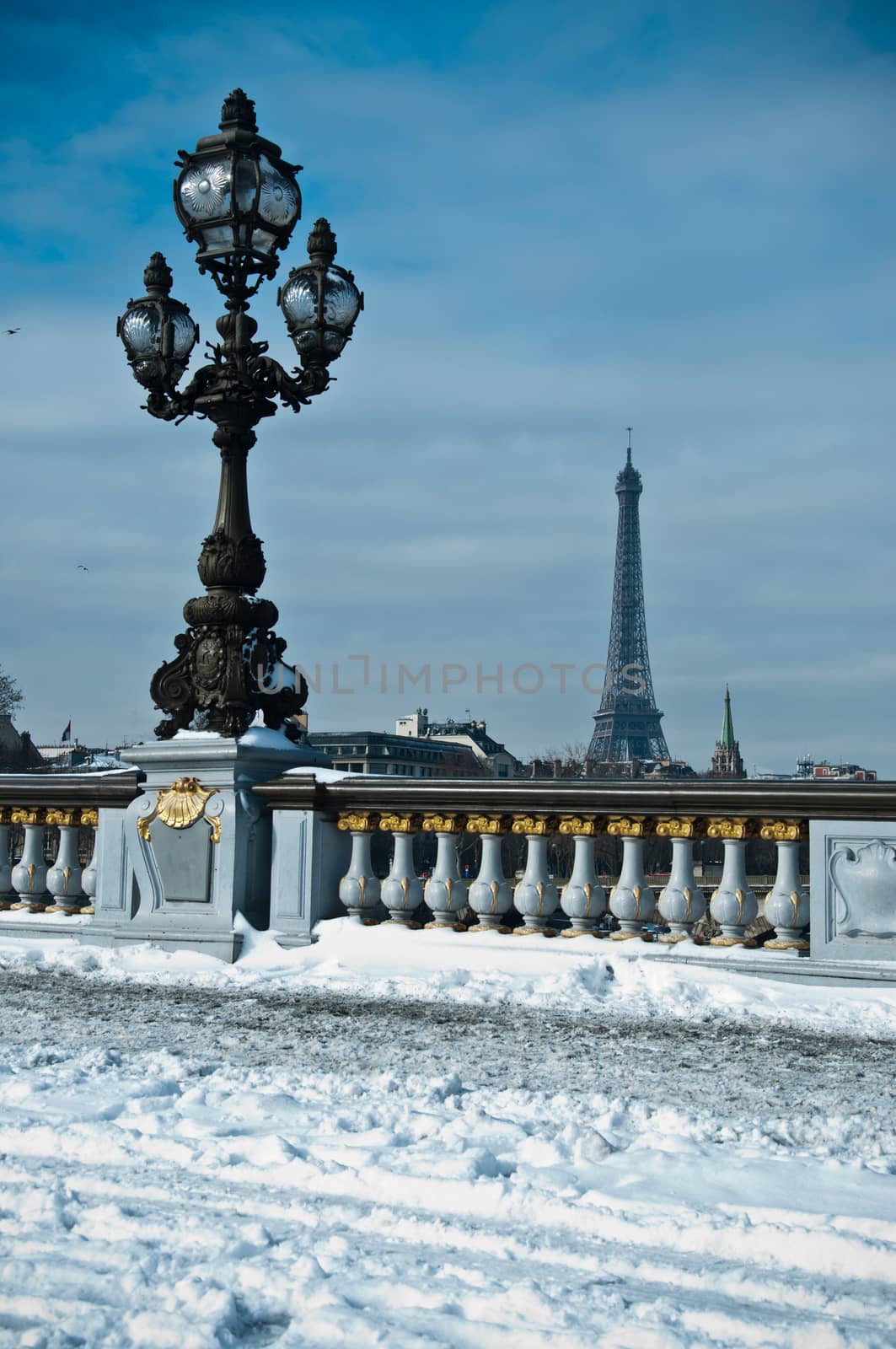 alexander 3 bridge in paris by winter