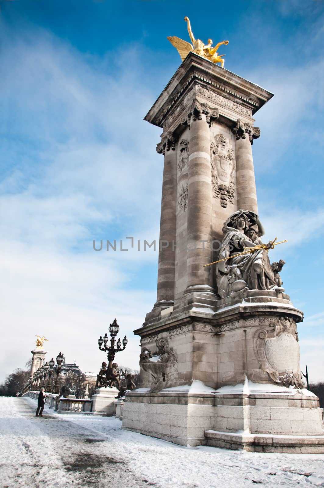 alexander 3 bridge in paris by winter