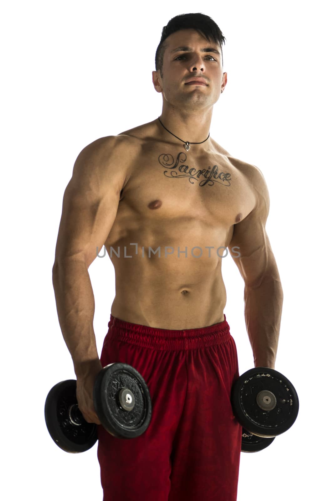 Portrait of a handsome muscular young man lifting weights, isolated on white