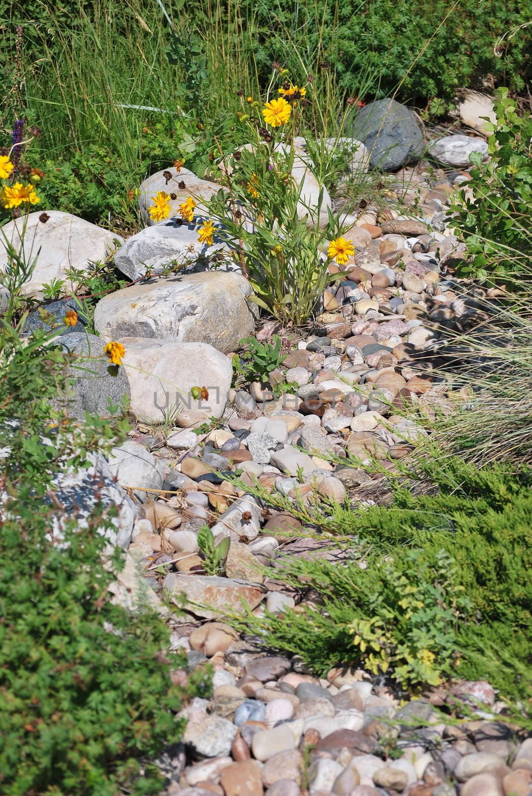 Rock garden exterior view outdoors.