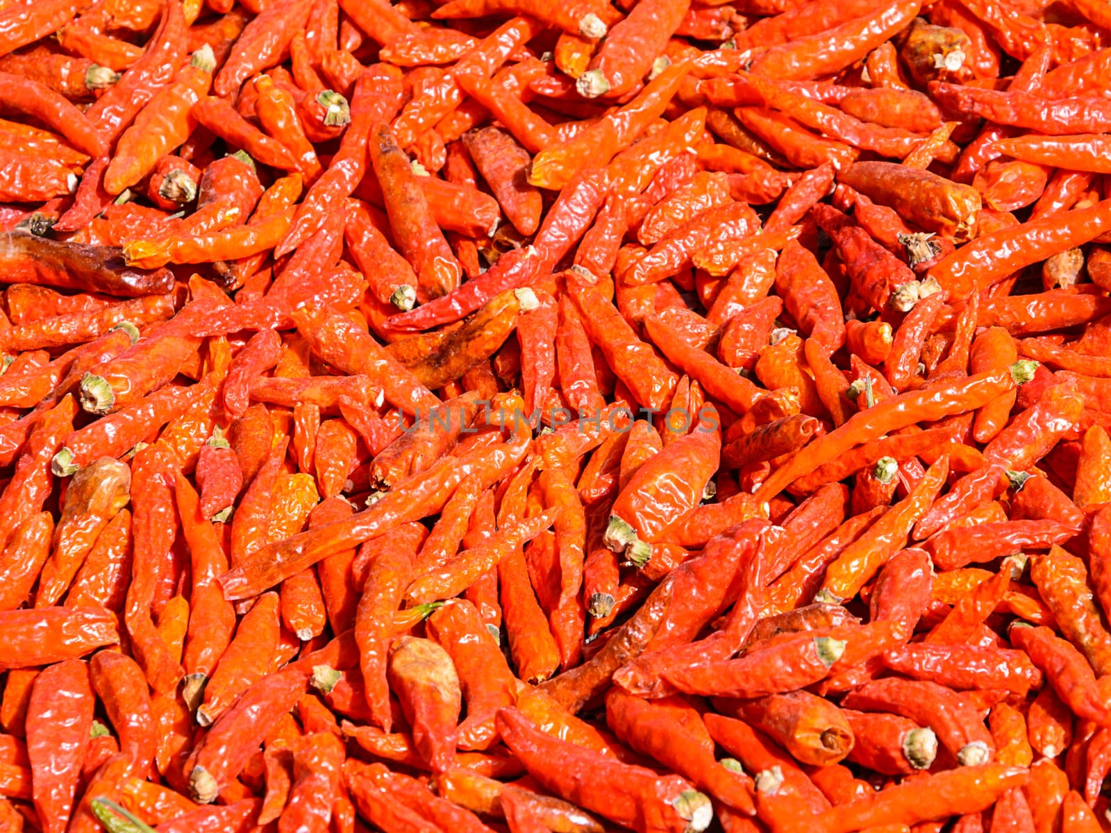 Dried red chilli for a food ingredient 