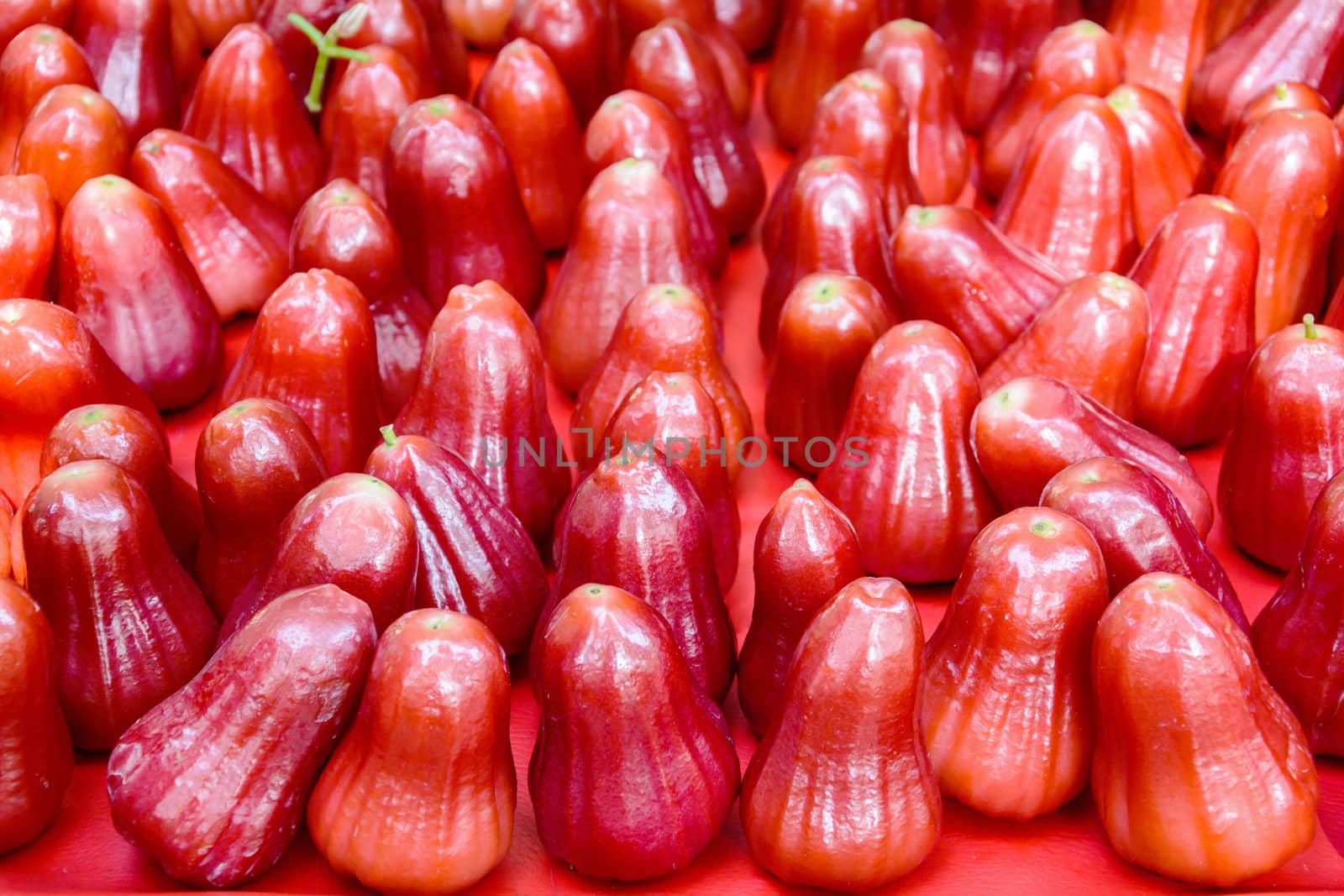 Rose apples put on the red background