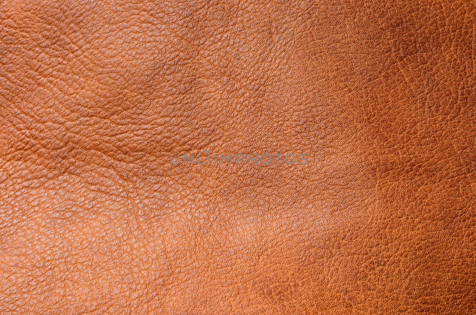 Leather texture background