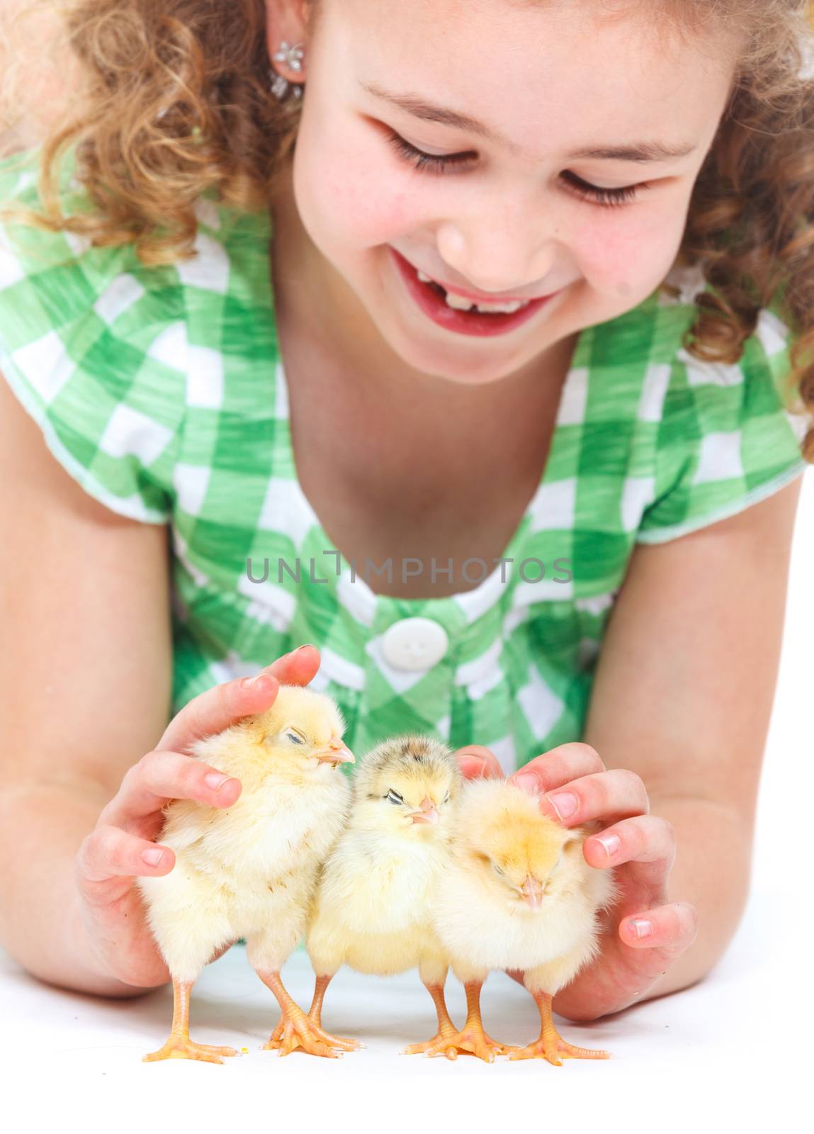 Closeup of Happy little girl holding baby chickens - isolated white background