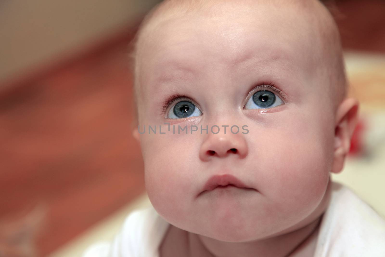 Portrait of adorable baby by friday