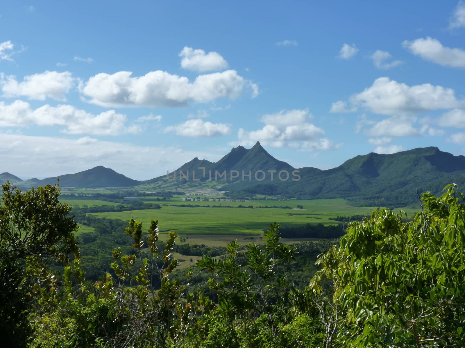 Domaine De L'Etoile, East Coast Of Mauritius Island