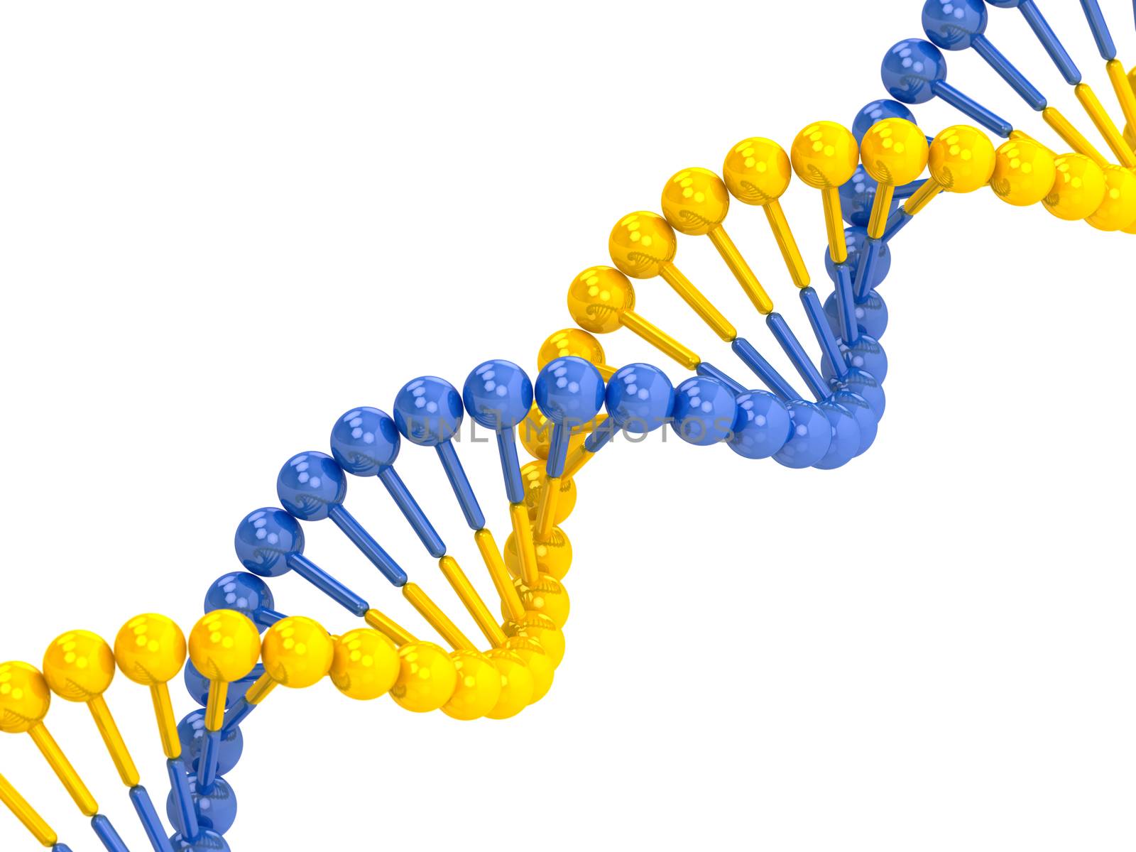 yellow blue DNA molecule on a white background