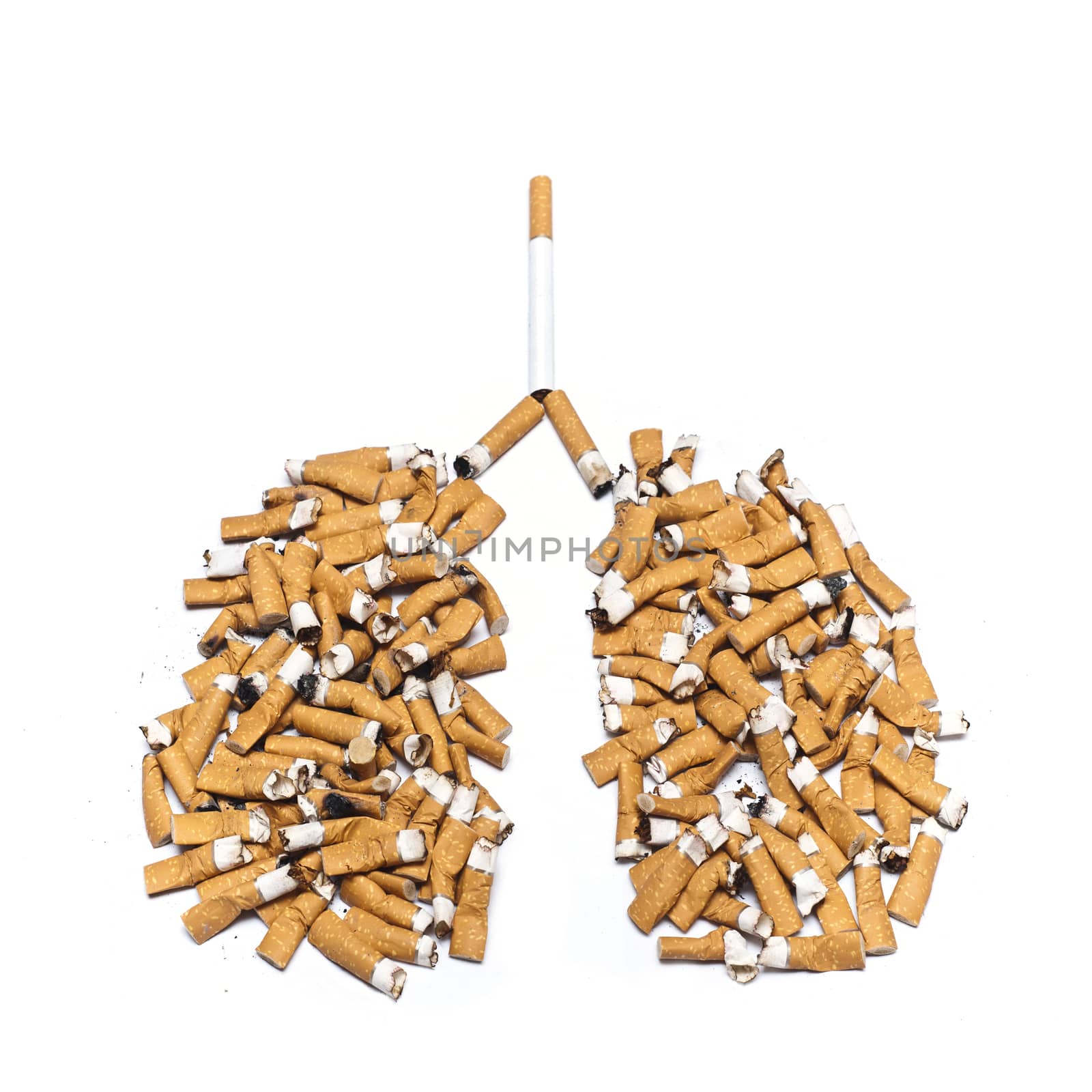 Concept danger cigarettes for lungs on white background