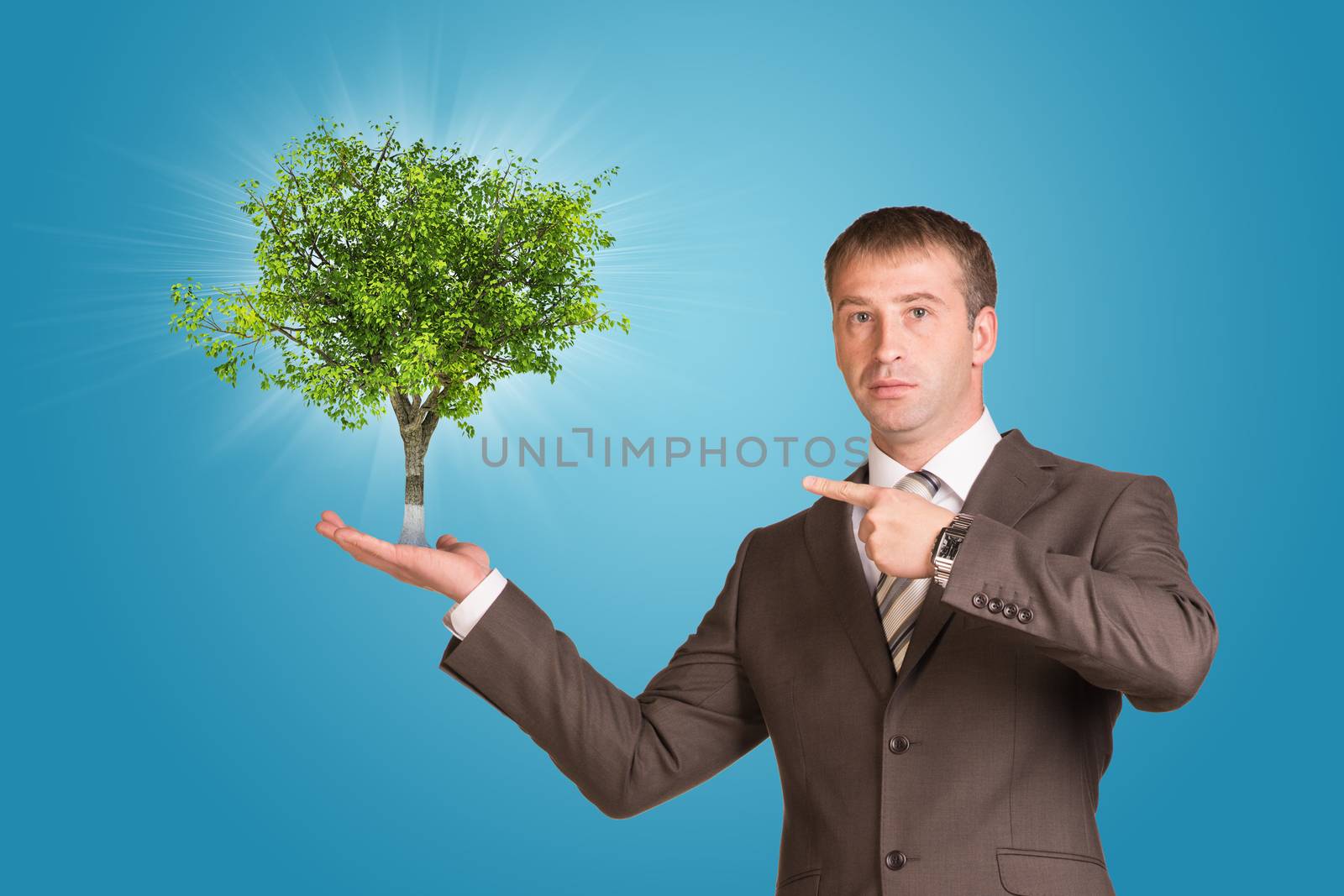 Businessman in a suit hold green tree by cherezoff