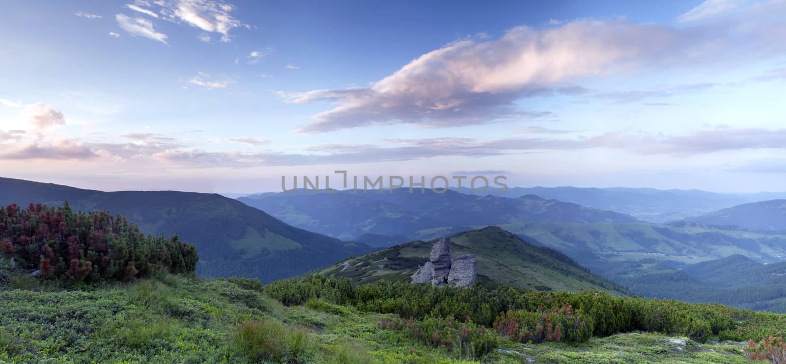 evening mountain plateau landscape (Carpathian, Ukraine) 