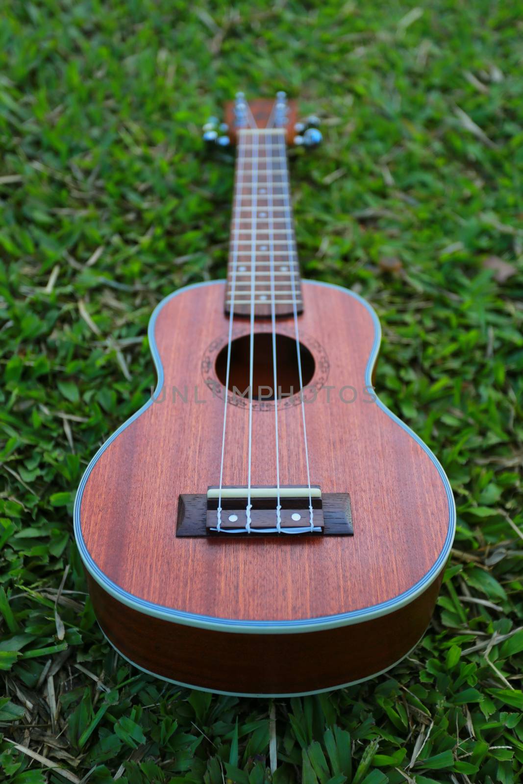 The ukulele is lay down on the green grassland.