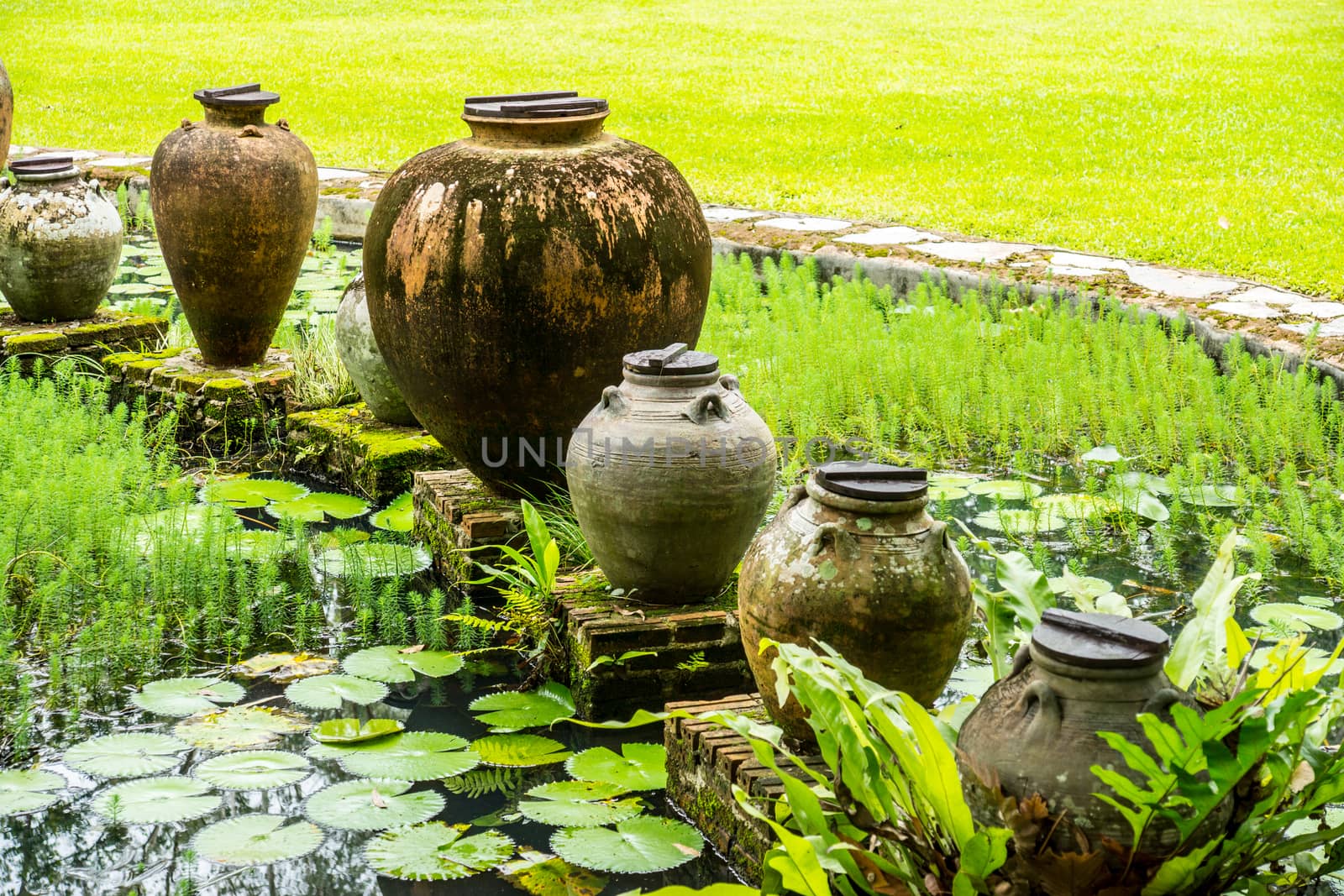 stlye of tropical water garden decoration