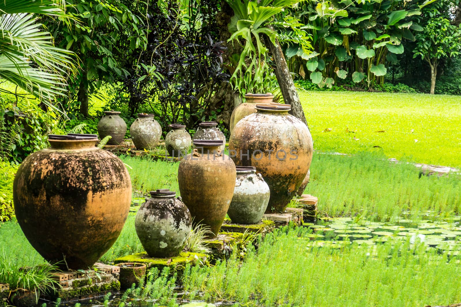 stlye of tropical water garden decoration