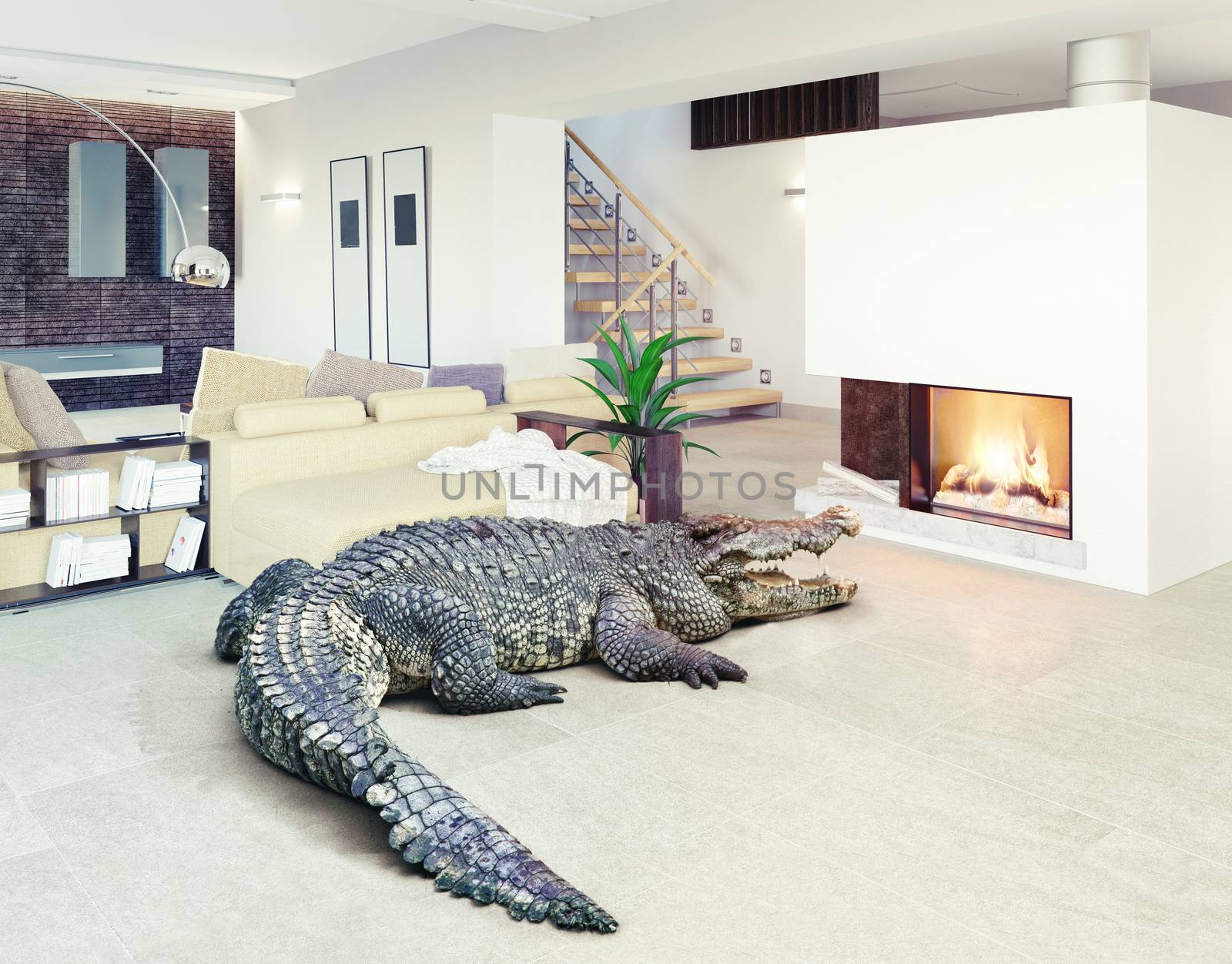 crocodile  in the luxury interior by vicnt