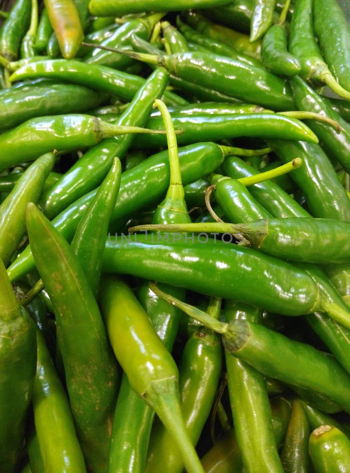 Green and Red Chillies are used extensively in many parts of Indian cuisine.