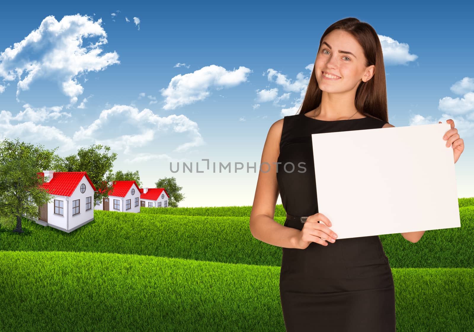 Businesswoman with landscape and houses by cherezoff