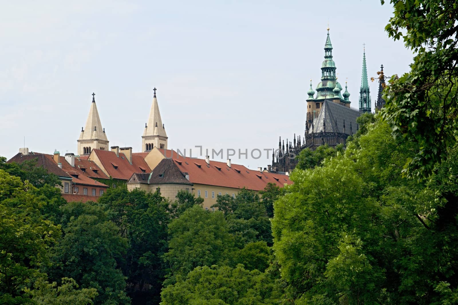 Photo shows details Prague castle gardens.