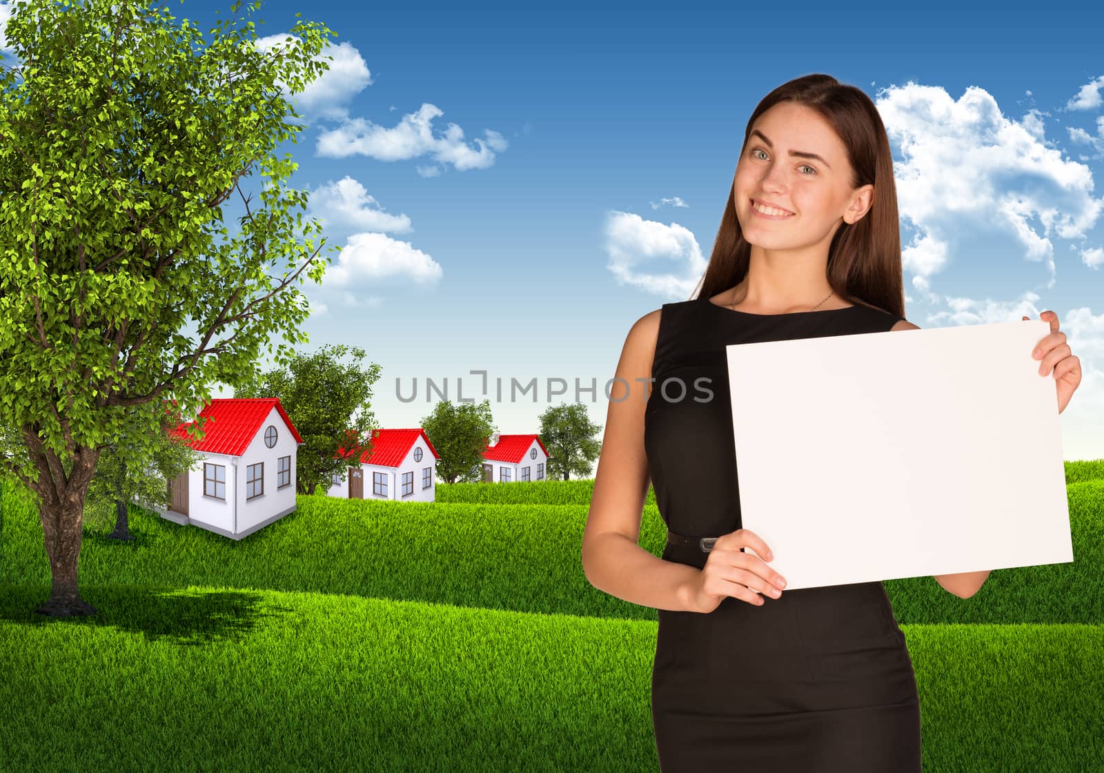 Businesswoman with landscape and houses  by cherezoff