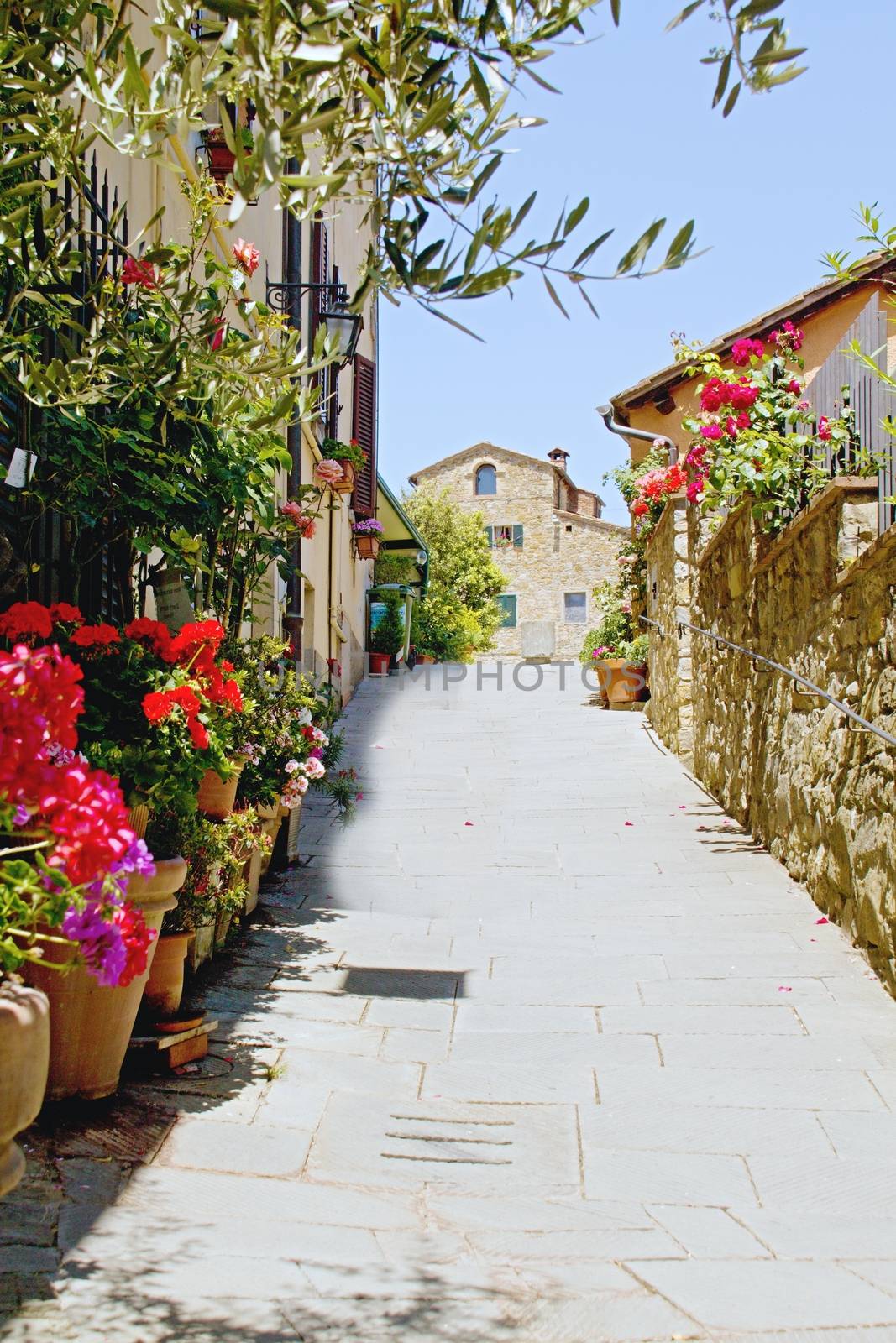 Photo shows a general view of the Tuscany village.