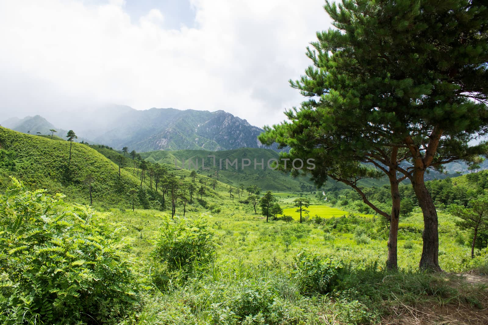 The North Korean landscape by Mieszko9