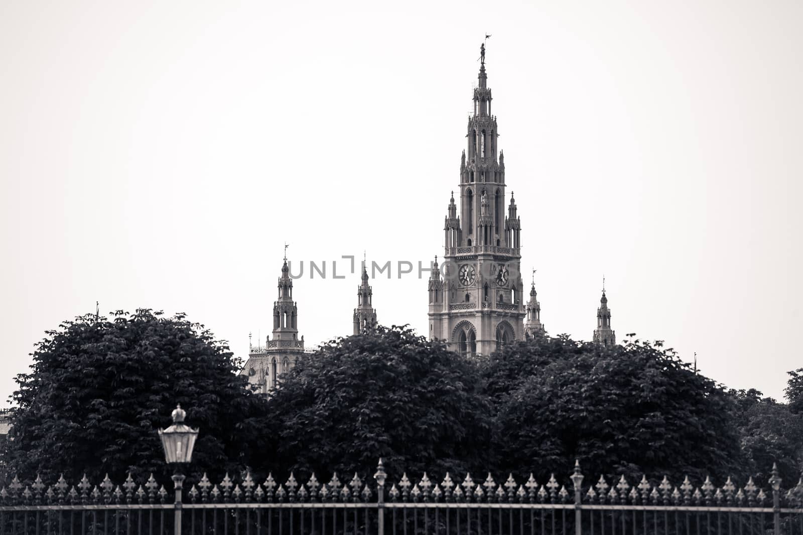 Gothic building tower of Vienna city hall, Rathause, at night, Austria