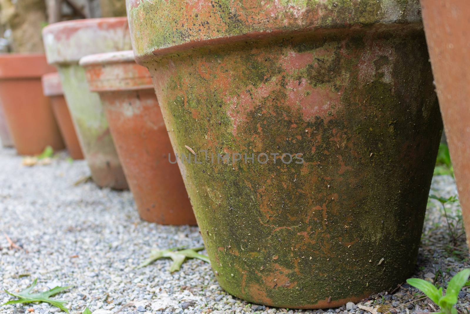 Terracotta flower pots in a row