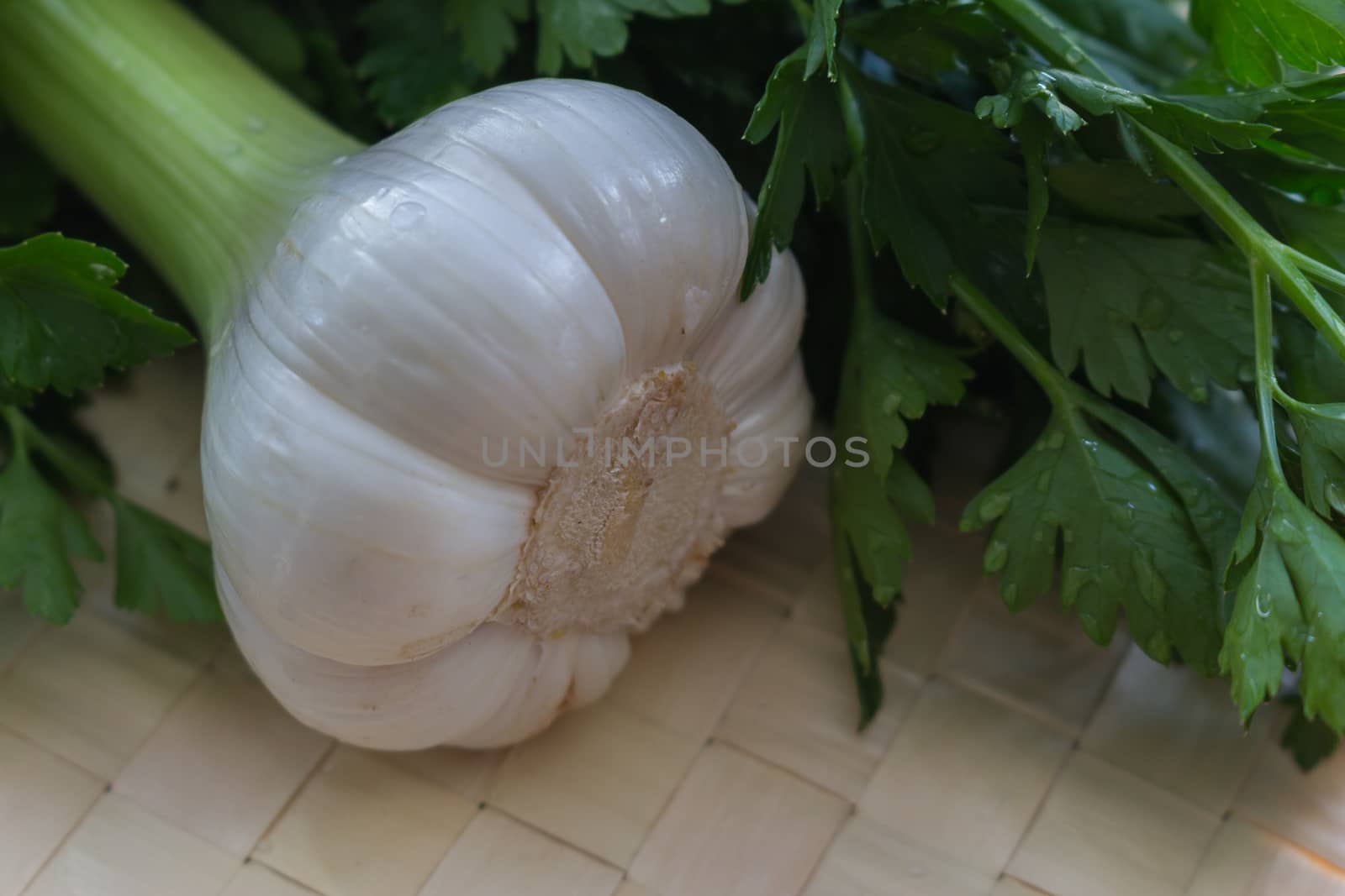 Austrian Fresh garlic close-up