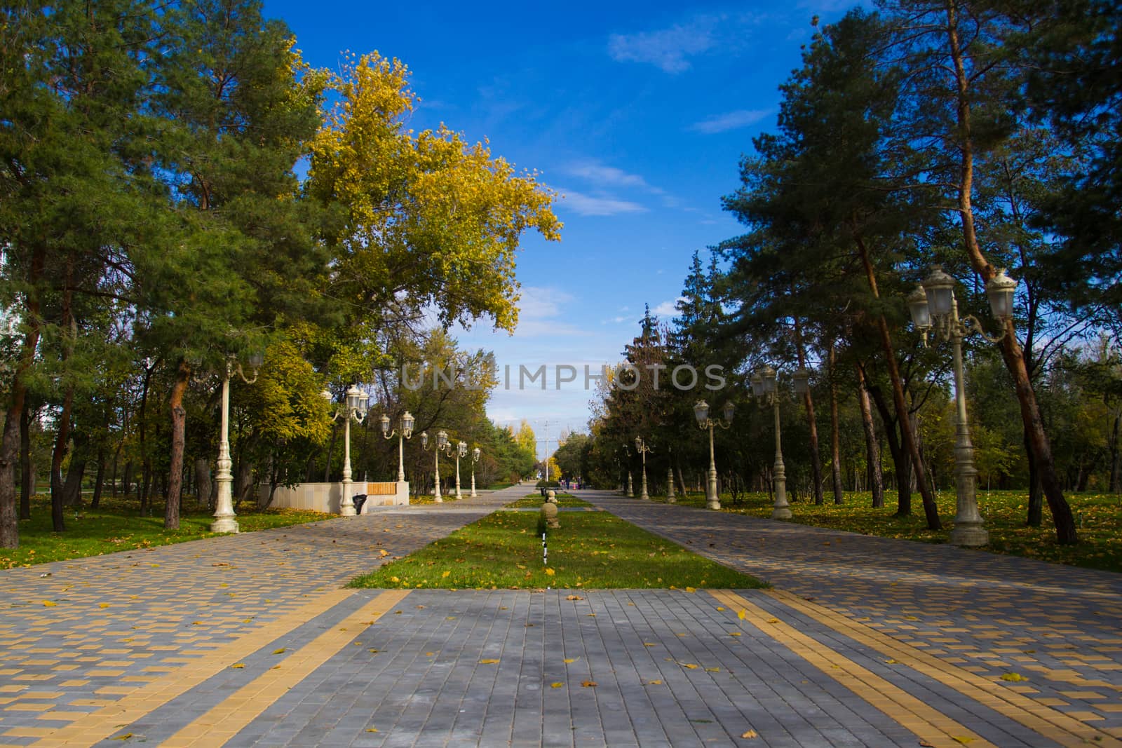 Autumn city park. Green grass, yellow foliage and blue sky - Stock Photo