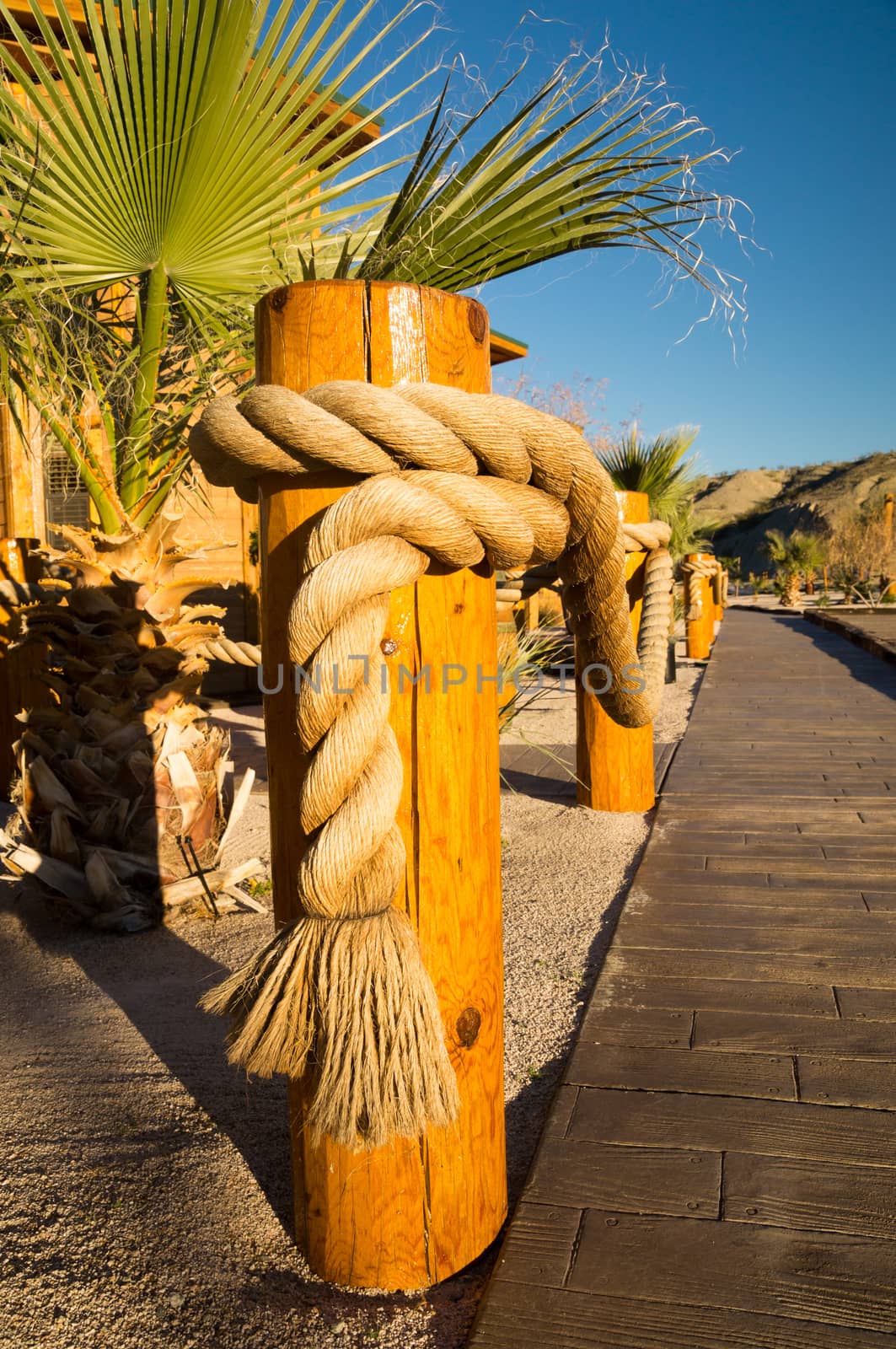 Palm trees and ropes on boardwalk