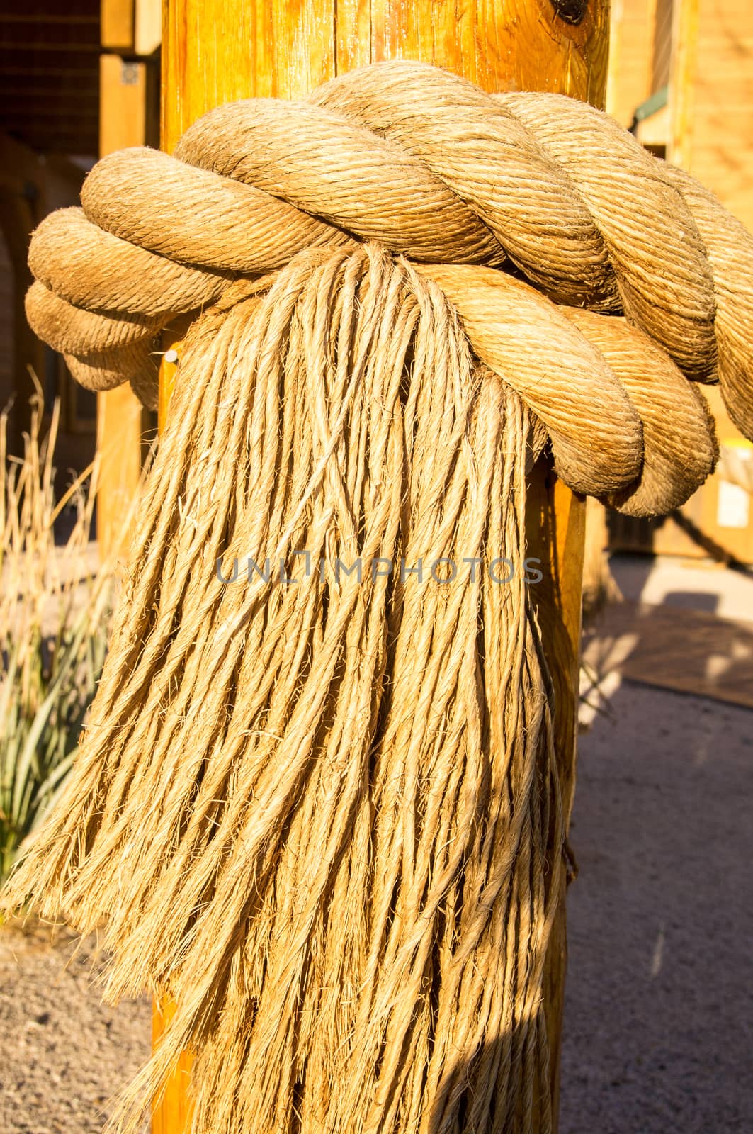 Sunlight glows on fringed rope on a wooden post