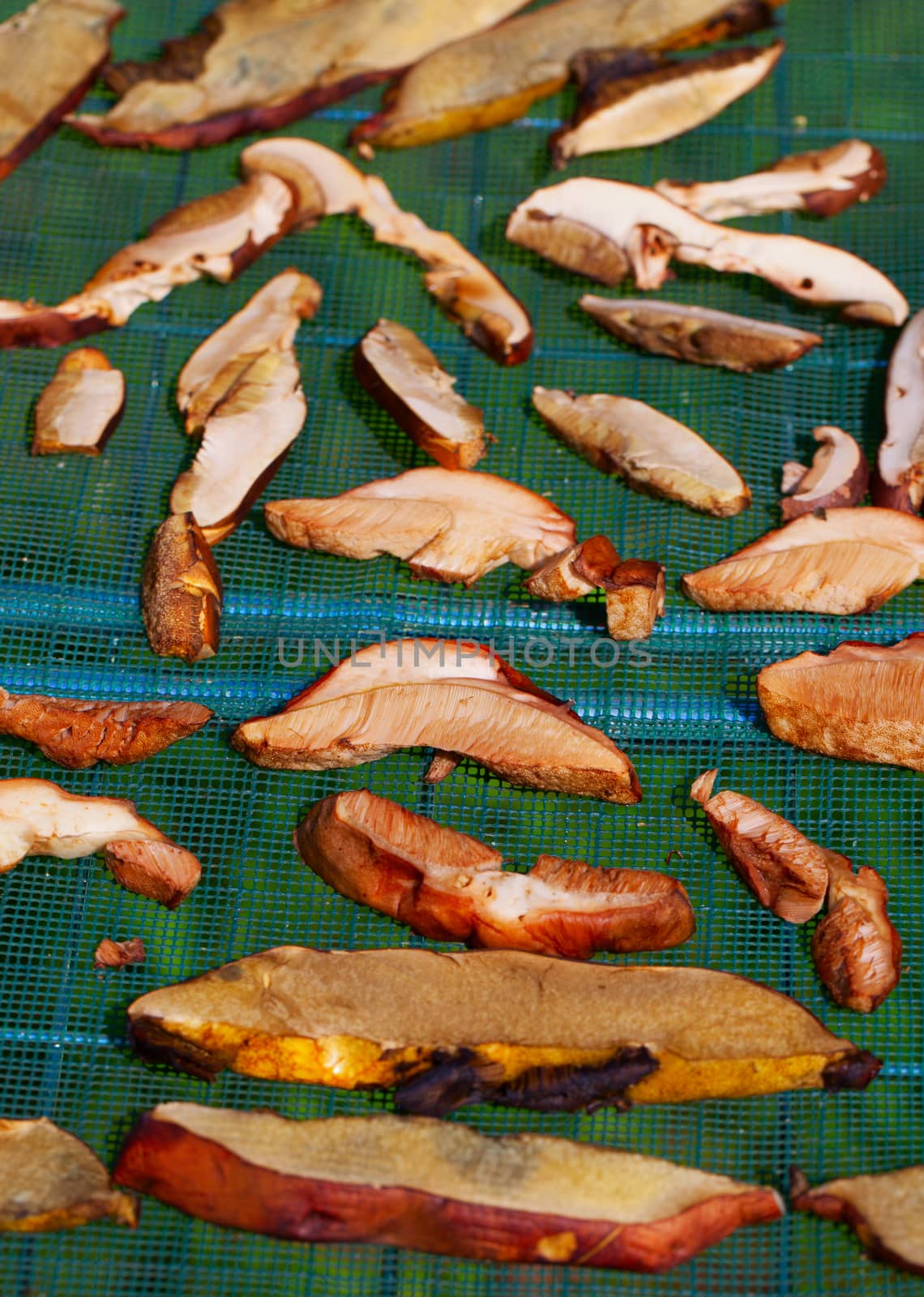 Sliced mushrooms exposed to the sun for drying