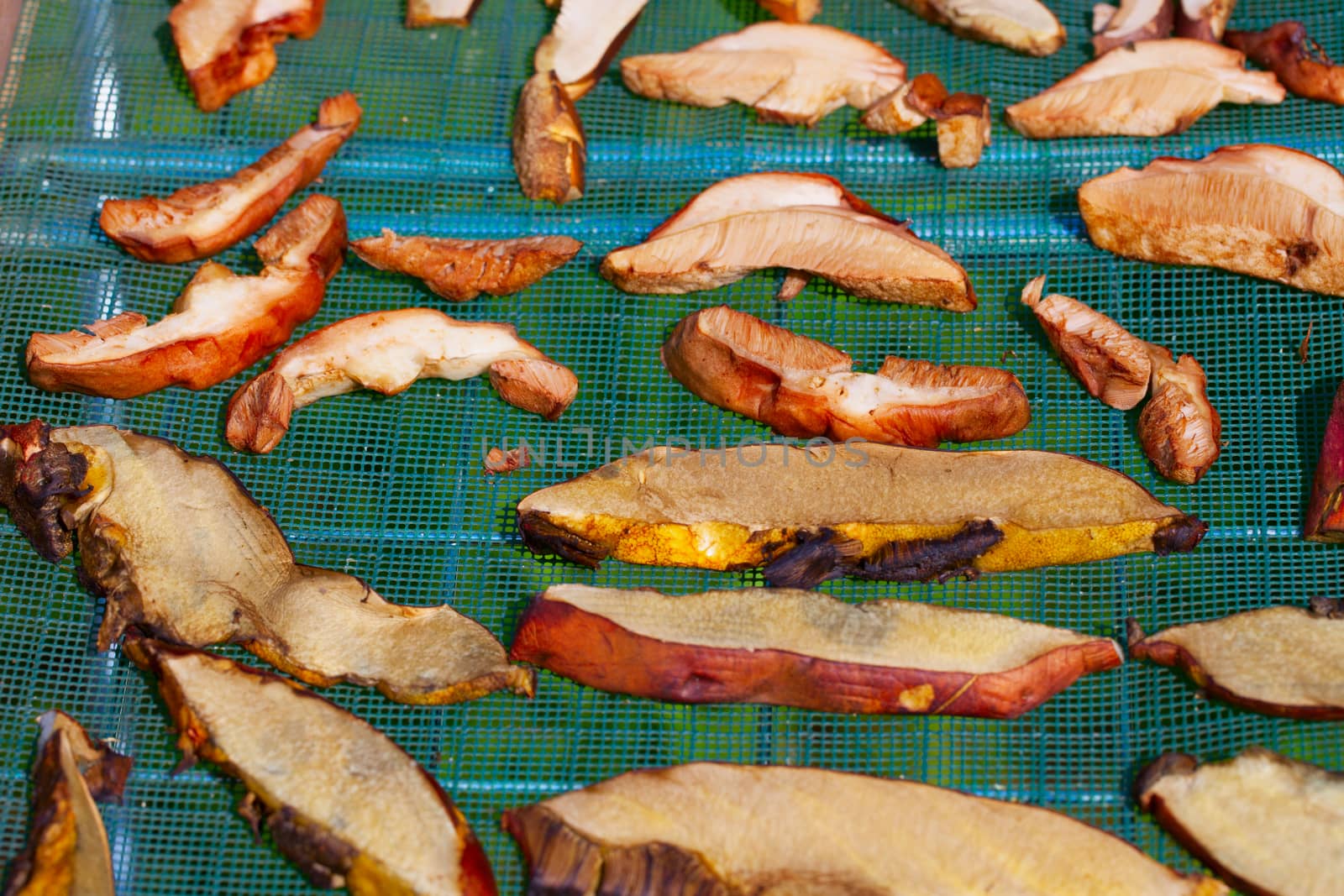 Sliced mushrooms exposed to the sun for drying