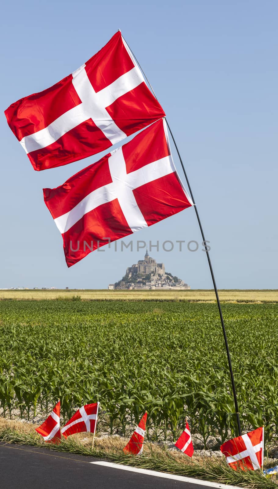 Mont Saint Michel Monastery and Norwegian Flags by RazvanPhotography