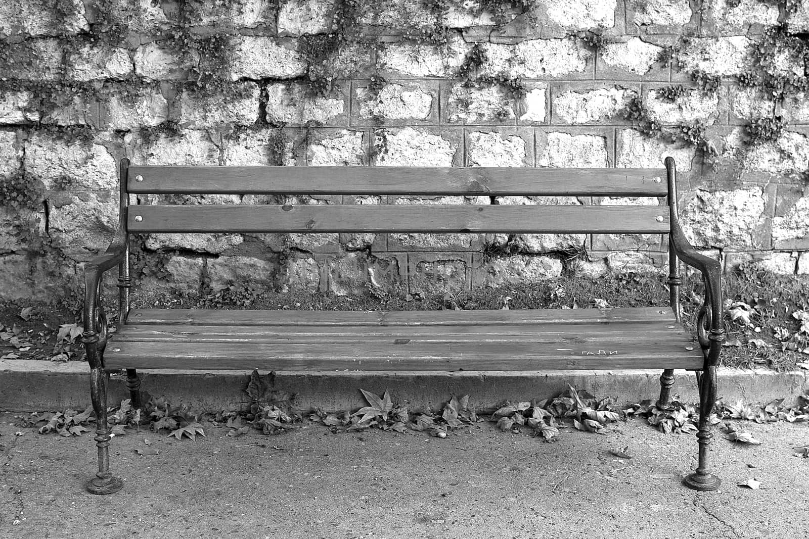 The empty bench in the park testify that the fall is approaching