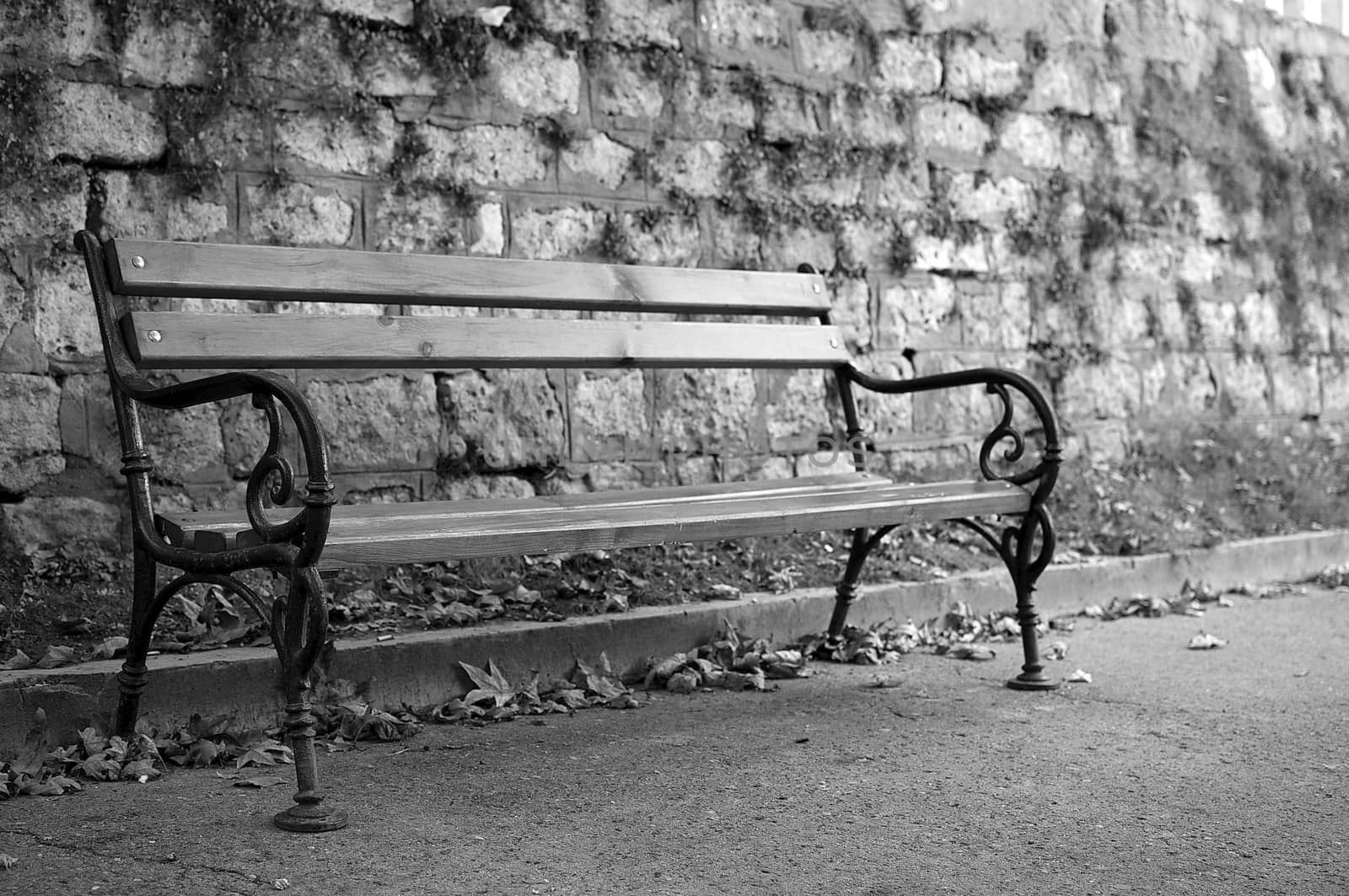 The empty bench in the park testify that the fall is approaching