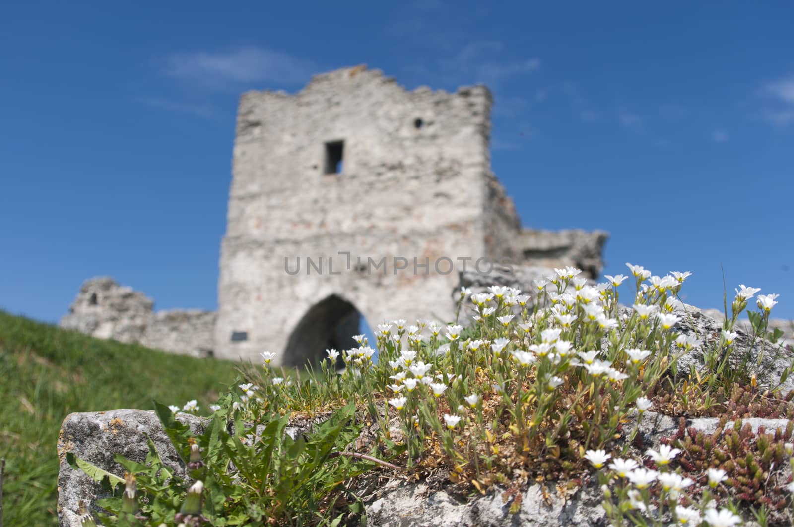 Ruins of Kudryntsi Castle in Ternopil region of Ukraine