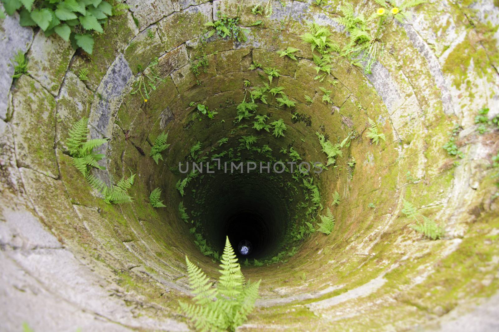 Old deep well with plants on its walls