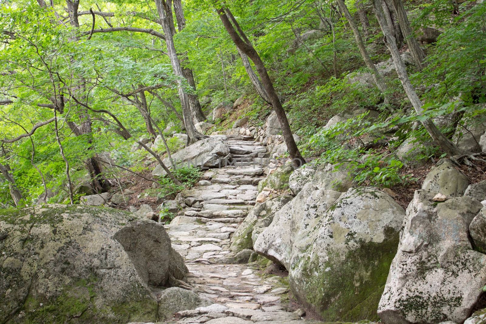 mountain path by Mieszko9