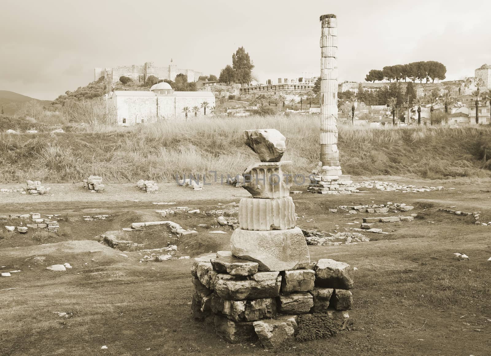 Ruins of Artemision in Ephesus, Turkey