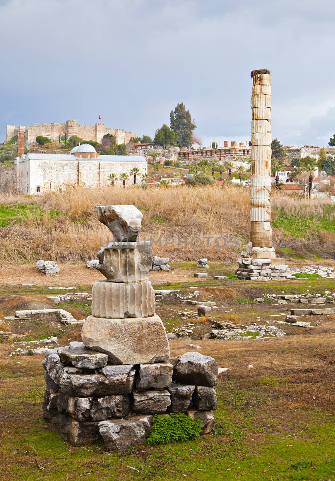 Ruins of Artemision in Ephesus, Turkey
