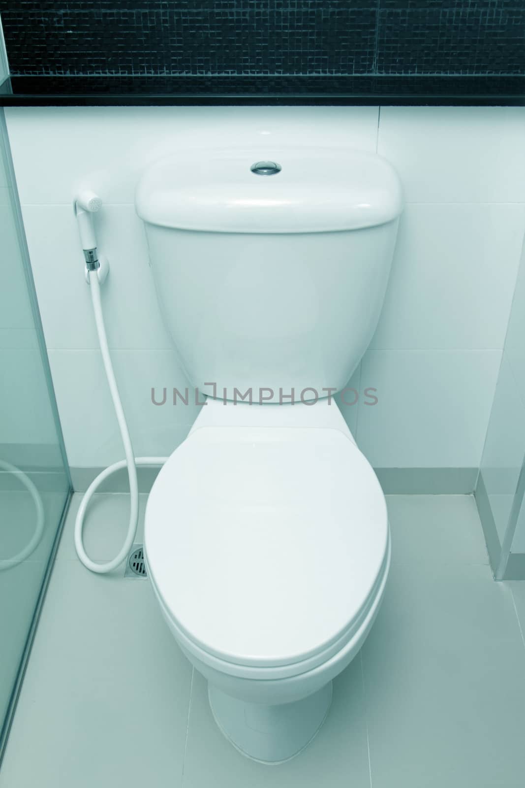 White toilet bowl in a bathroom by foto76