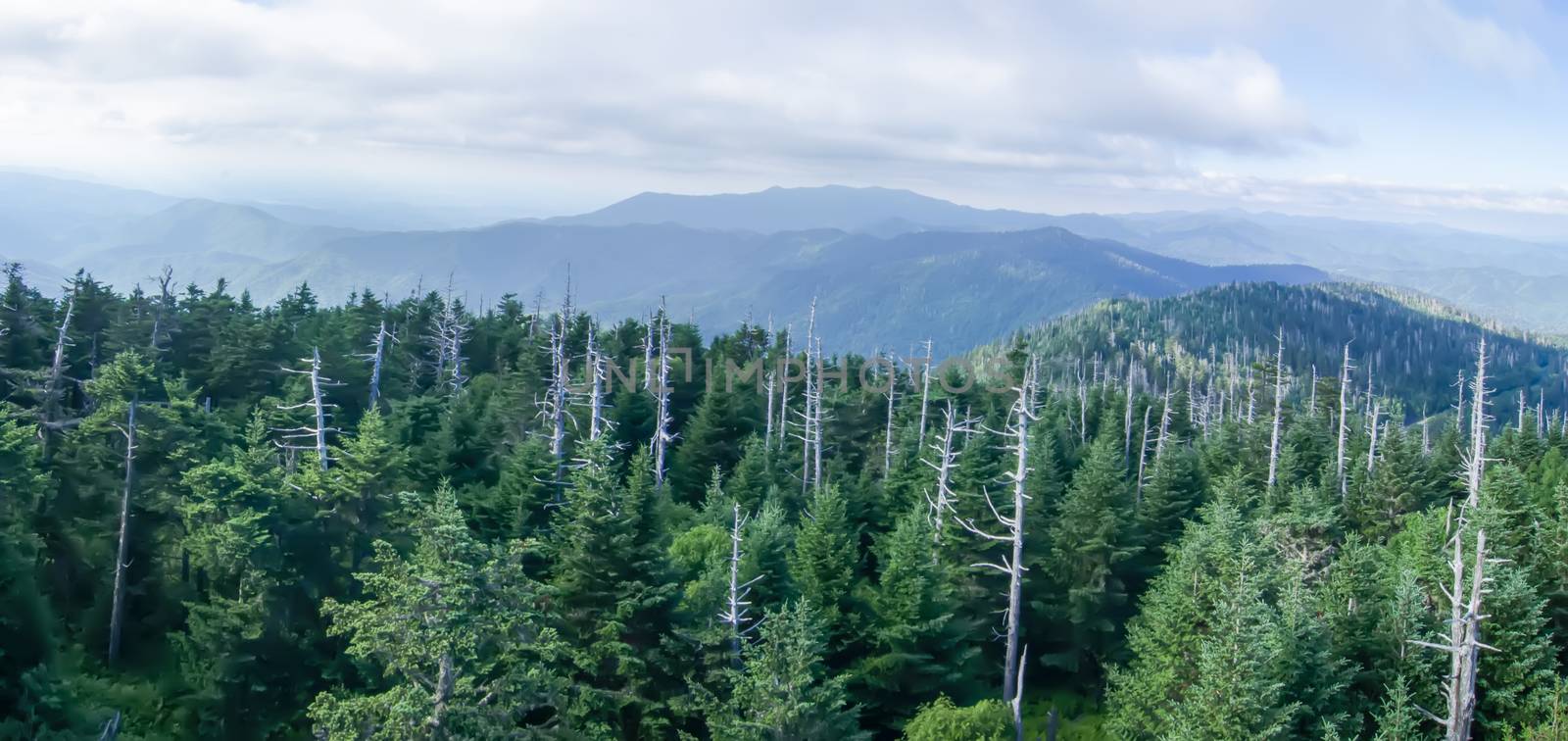 View from Clingman's Dome in the Great Smoky Mountains National Park near Gatlinburg, Tennessee.