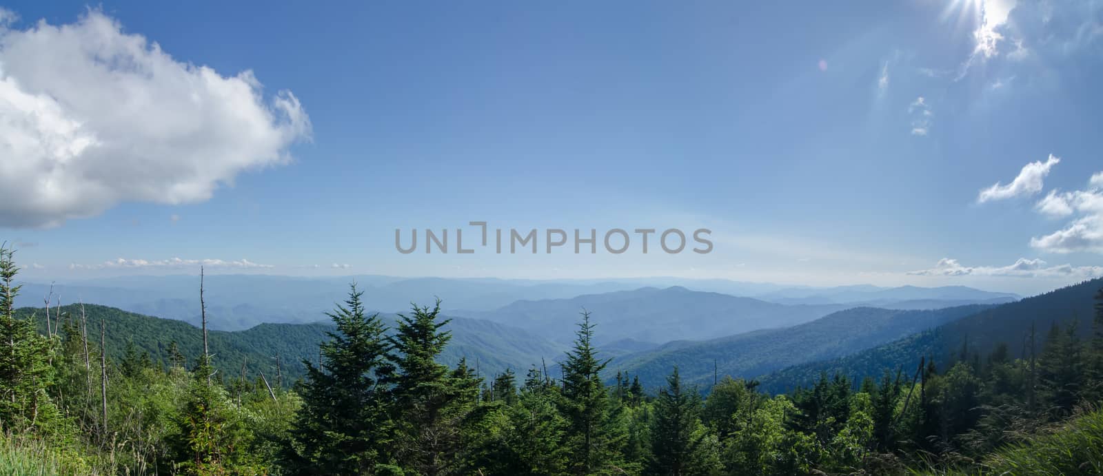 View from Clingman's Dome in the Great Smoky Mountains National  by digidreamgrafix