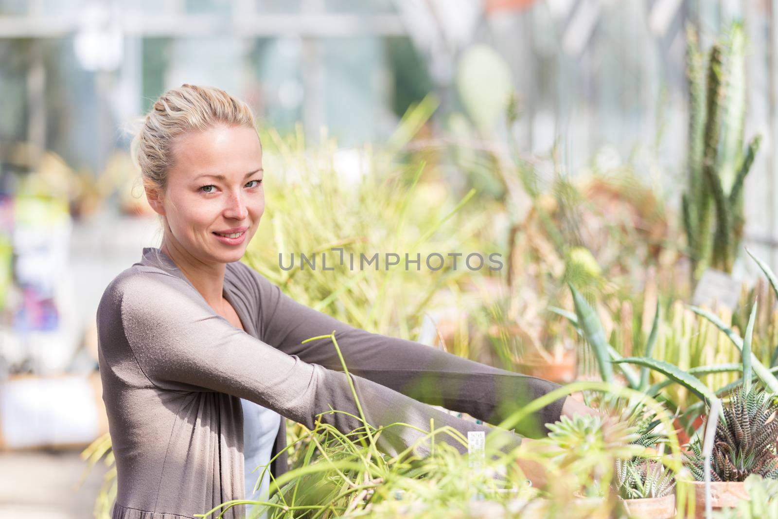 Florists woman working in greenhouse.  by kasto