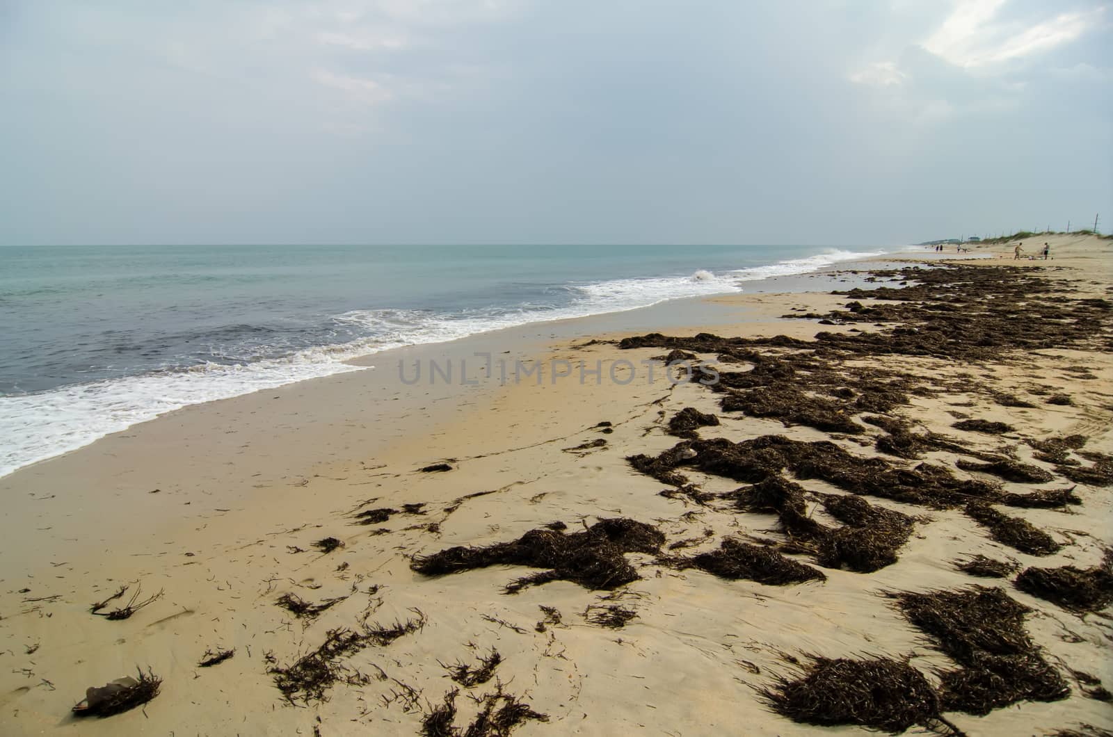 Cape Hatteras National Seashore on Hatteras Island North Carolina USA