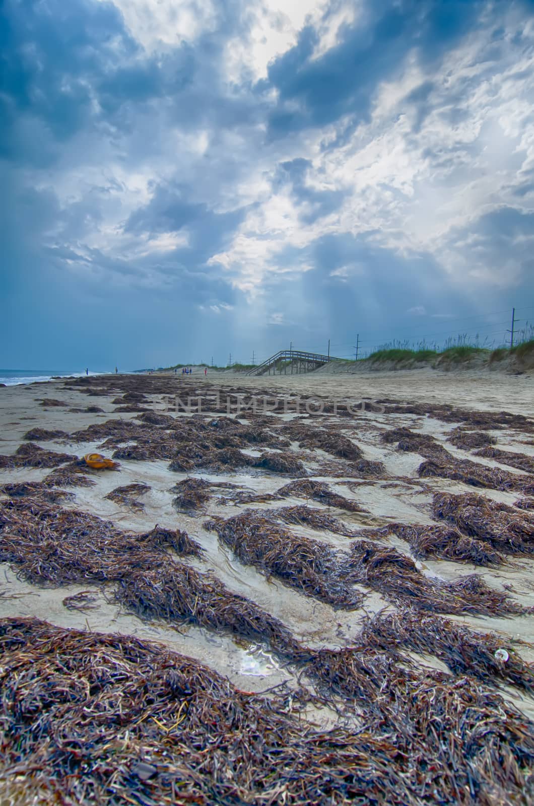 Cape Hatteras National Seashore on Hatteras Island North Carolin by digidreamgrafix