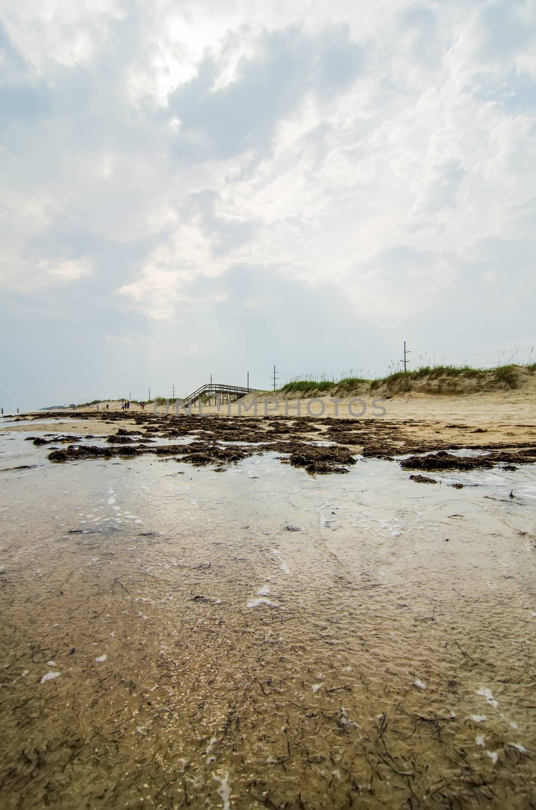 Cape Hatteras National Seashore on Hatteras Island North Carolina USA