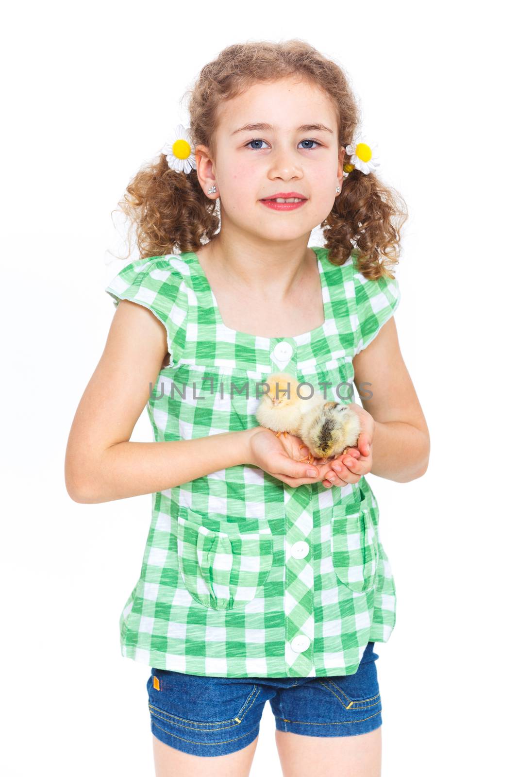 Happy little girl holding baby chickens - isolated white background