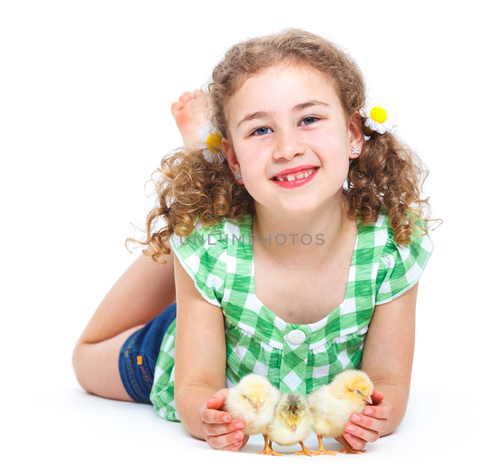 Happy little girl holding baby chickens - isolated white background