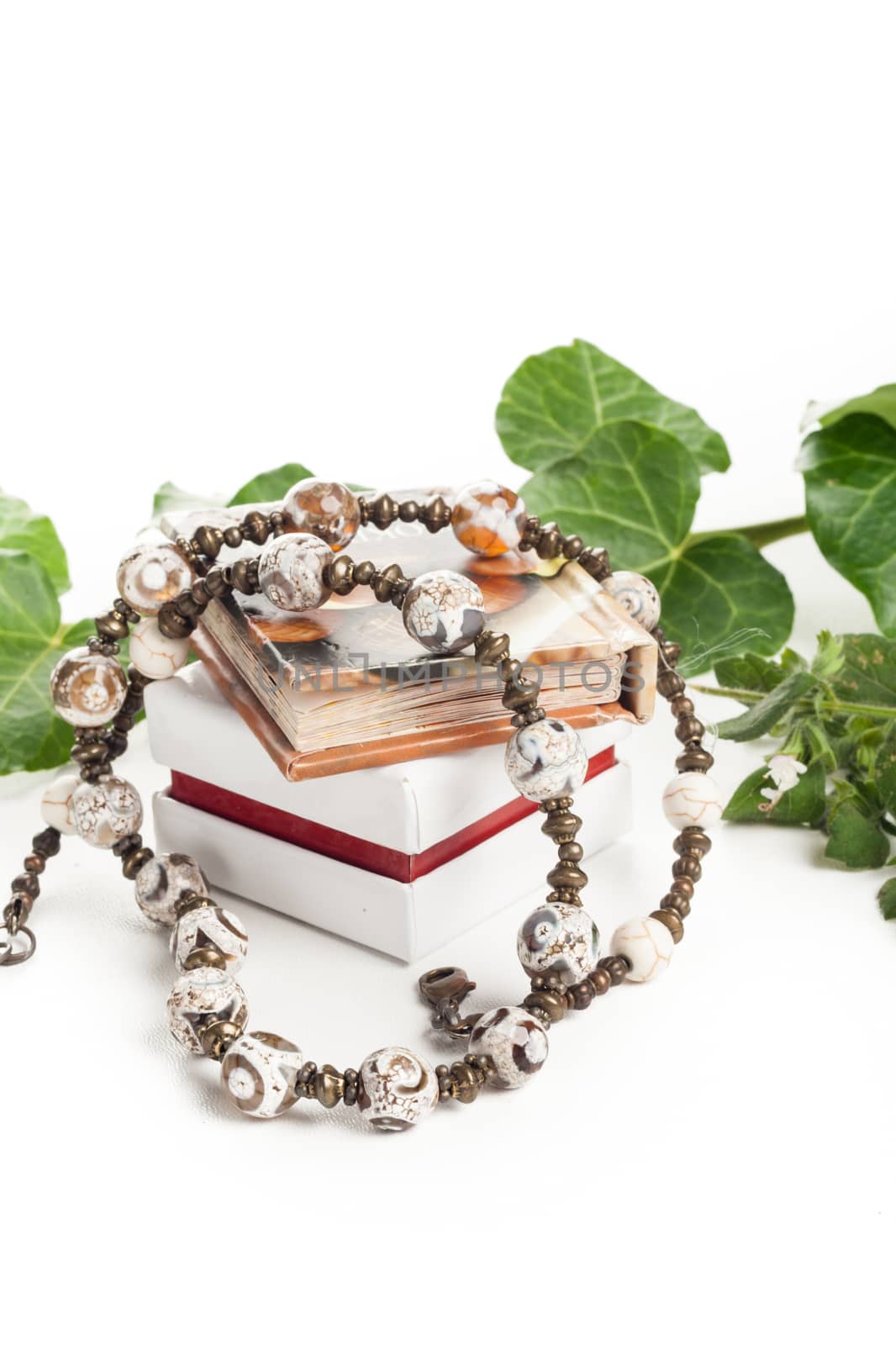 beautiful necklace with box and little book and green leafs
